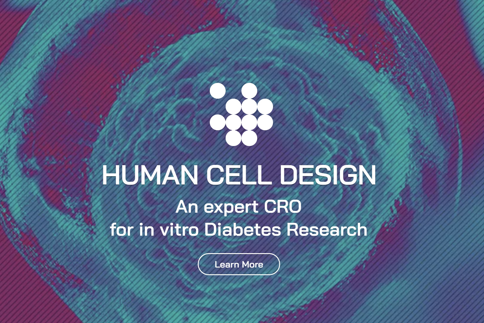 品牌资讯 | 法国Human Cell Design(HCD)胰岛β细胞，澄天跨境供应链助力糖尿病研究